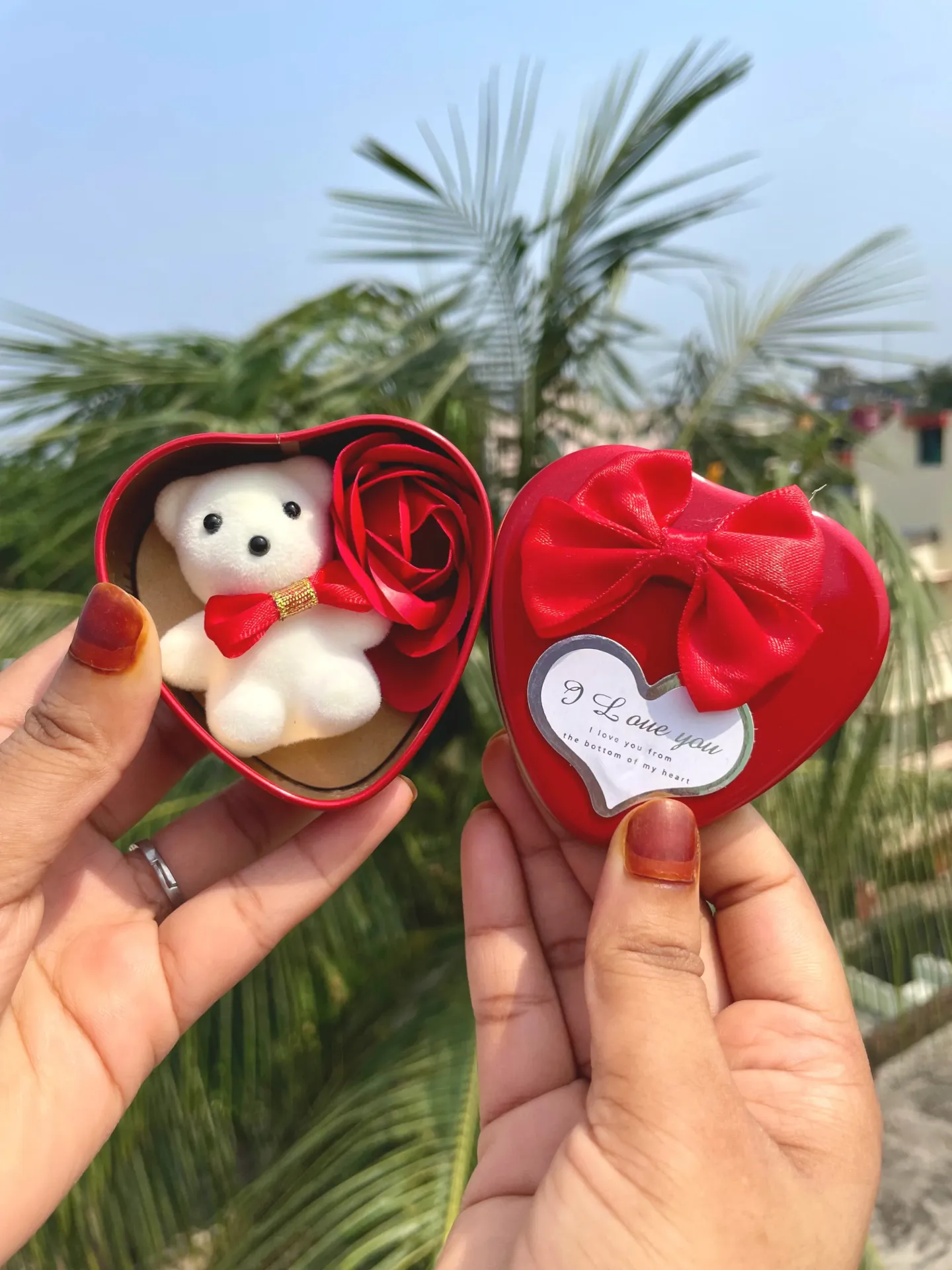 Teddy Heart { LOVE } 🍒❤️
